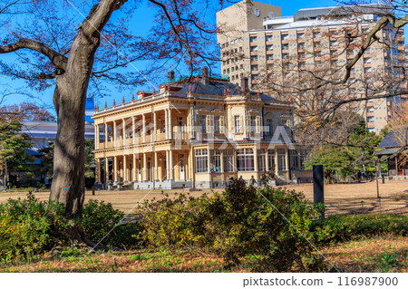 Autumn at the former Iwasaki residence garden (Western-style building) in Ikenohata, Taito Ward, Tokyo 116987900