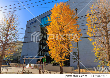 Toyo University (Hakusan Campus), Bunkyo-ku, Tokyo 116987916