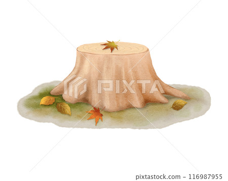 Illustration material of tree stumps and fallen leaves in the forest painted by watercolor 116987955