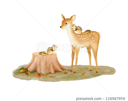 Illustration material of cute animals in the forest drawn by watercolor 116987959