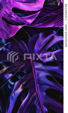 Purple monstera leaves, abstract postcard or vertical phone wallpaper 116988396
