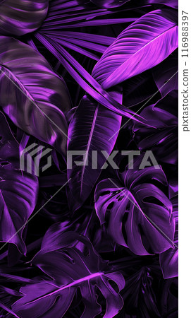 purple tropical leaves for background or wallpaper, abstract postcard concept 116988397