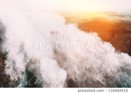Aerial View. Spring Dry Grass Burns During Drought Hot Weather. Bush Fire And Smoke In Deforestation Zone. Wild Open Fire Destroys Grass. Nature In Danger. Ecological Problem Air Pollution 116988410