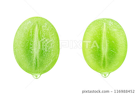 閃耀馬斯喀特插畫真實 116988452