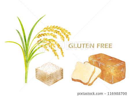 無麩質圖像插圖米和米粉麵包手繪水彩 116988700