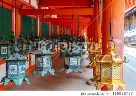 【奈良縣】春日大社走廊裡排列的燈籠 116988787