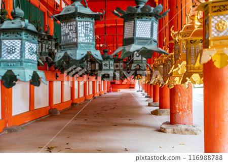【奈良縣】春日大社走廊裡排列的燈籠 116988788