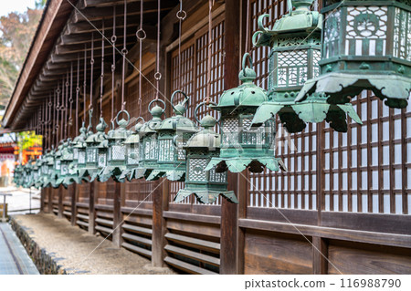 [Nara Prefecture] Many lanterns lined up at Kasuga Taisha Shrine 116988790
