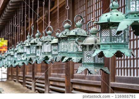 [奈良縣] 春日大社裡排列著許多燈籠 116988791