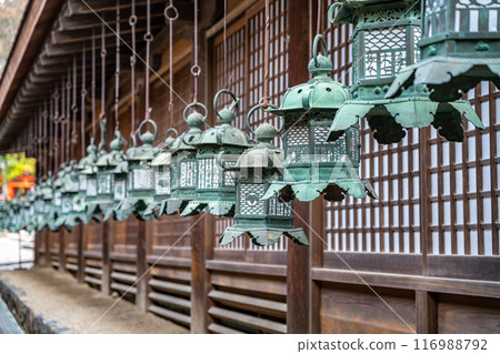 [Nara Prefecture] Many lanterns lined up at Kasuga Taisha Shrine 116988792