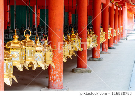 【奈良縣】春日大社的走廊裡排列著許多燈籠 【奈良縣】春日大社的走廊裡排列著許多燈籠 116988793
