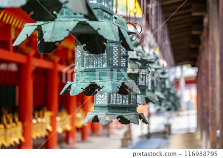 [Nara Prefecture] Many lanterns lined up at Kasuga Taisha Shrine 116988795