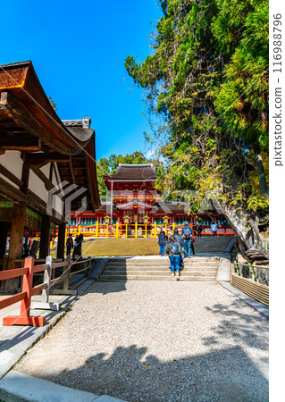 【奈良縣】藍天美麗的春日大社 116988796