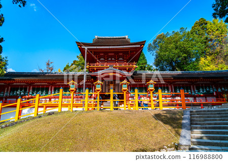 【奈良縣】藍天美麗的春日大社 116988800
