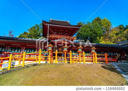 【奈良縣】藍天美麗的春日大社 【奈良縣】藍天美麗的春日大社 116988802