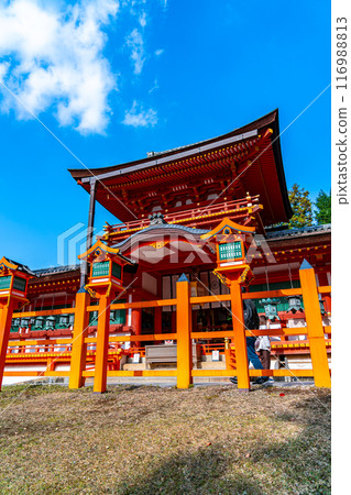 [Nara Prefecture] Kasuga Taisha Shrine under a beautiful blue sky 116988813