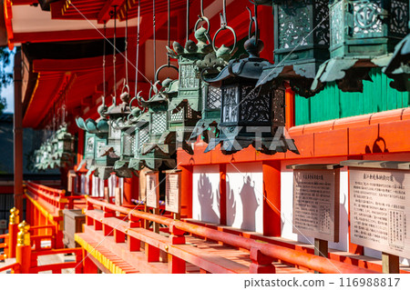 [Nara Prefecture] Kasuga Taisha Shrine with its many lanterns 116988817