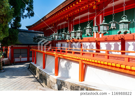 [Nara Prefecture] Kasuga Taisha Shrine with its many lanterns 116988822