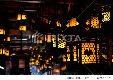 【奈良縣】春日大社，黑暗中漂浮著許多美麗的燈籠 116988827