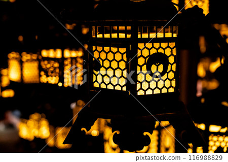 【奈良縣】春日大社,黑暗中漂浮著許多美麗的燈籠 【奈良縣】春日大社,黑暗中漂浮著許多美麗的燈籠 116988829