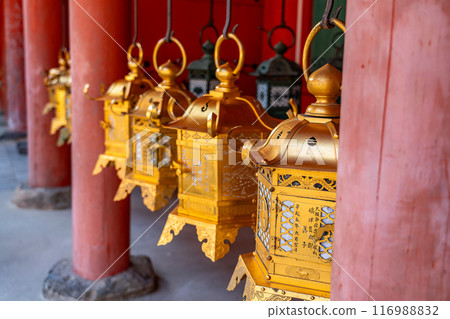 【奈良縣】春日大社的走廊裡排列著許多燈籠 116988832