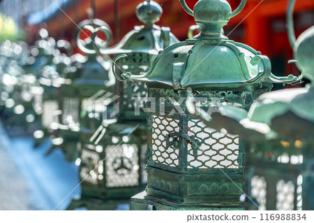 [奈良縣] 春日大社裡排列著許多燈籠 116988834