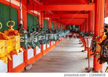 【奈良縣】春日大社的走廊裡排列著許多燈籠 116988838