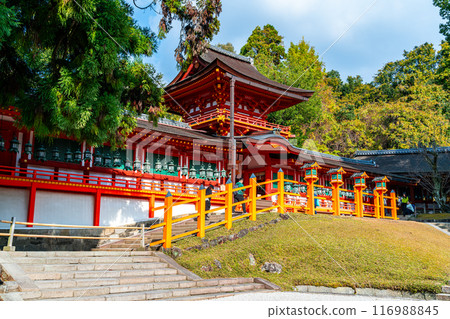 [Nara Prefecture] The beautiful, vibrant vermilion Kasuga Taisha Shrine 116988845