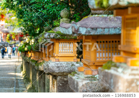 【奈良縣】春日大社,長滿青苔的石燈籠令人印象深刻 【奈良縣】春日大社,長滿青苔的石燈籠令人印象深刻 116988853
