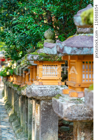 【奈良縣】春日大社，長滿青苔的石燈籠令人印象深刻 116988854