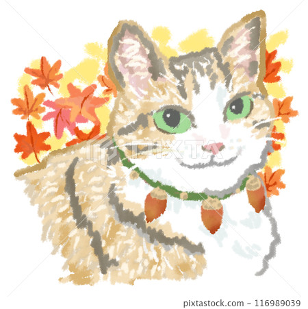 Autumn leaves and smiling cat 116989039