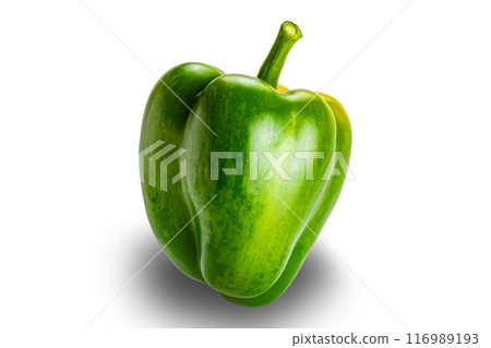 Single fresh green bell pepper, paprika. Single fresh green bell pepper, paprika. 116989193