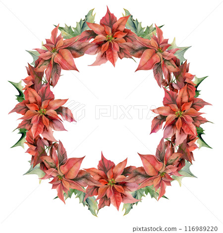 Red poinsettia flowers, holly leaves. Watercolor hand drawn illustration, wreath crown frame isolated on white. Xmas, happy new year festive, noel navidad holiday. Cards, gifts, florist shop, wedding 116989220