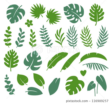 Tropical summer set of palm leaves, eucalyptus, banana leaves 116989257