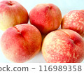 Many peaches lined up 116989358