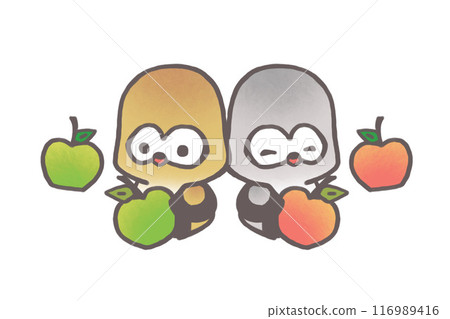 紅色和藍色的蘋果和一隻友善的貓頭鷹 116989416