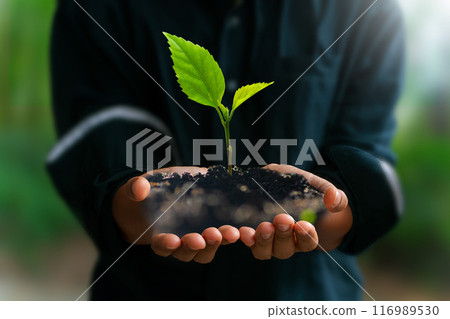 Sustainable business with the planet through renewable energy and green CO2 emissions, whereby using renewable energy can limit climate change and global warming. 116989530