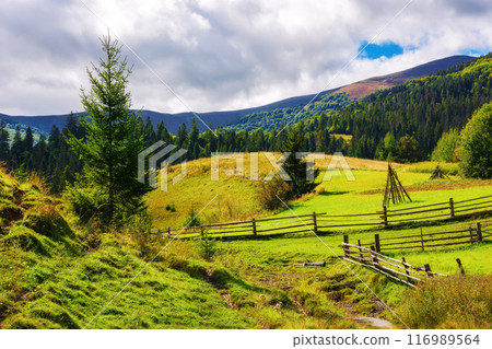 carpathian rural landscape in autumn. beautiful countryside scenery of ukraine on a sunny day. fence on the green fields rolling through hills carpathian rural landscape in autumn. beautiful countryside scenery of ukraine on a sunny day. fence on the green fields rolling through hills 116989564