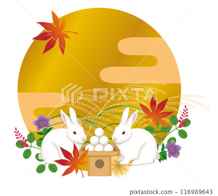 滿月，兔子望月，十五夜，中秋月 116989643