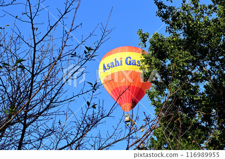 Kasato Shrine Balloon Kasato Shrine Balloon 116989955