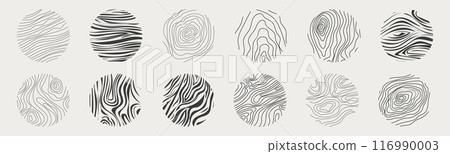 Wood texture material doodle hand drawn line. Tree trunk geometric curve and wave contour. Rings and circles.  116990003