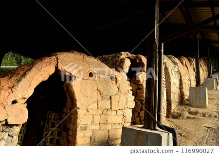 Nagatanien 116990027