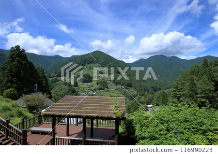 Observation deck and Ochiai village in summer (Higashi-Iya, Tokushima Prefecture) 116990223
