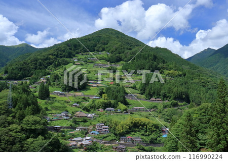 Ochiai Village, a village that spreads along the mountain slope, summer (Higashi-Iya, Tokushima Prefecture) 116990224