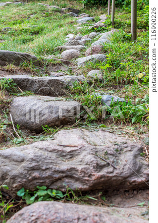 Rainy road on a summer day  116990226