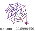 蜘蛛網上掛著的蜘蛛的插圖 116990450