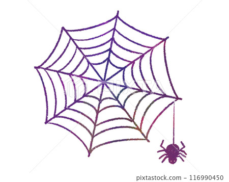 蜘蛛網上掛著的蜘蛛的插圖 116990450