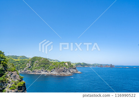 Cape Irozaki, the southernmost point of the Izu Peninsula, with a spectacular view of the Pacific Ocean 116990522