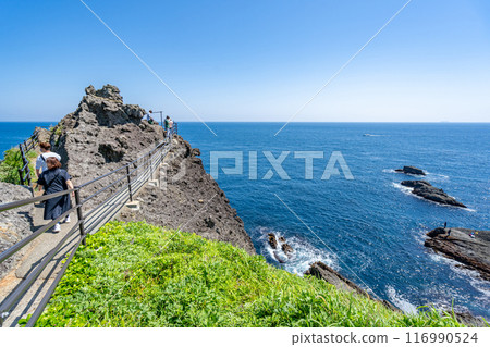 愛情圓滿的能量場熊野神社伊豆半島最南端的風景海岬色崎 116990524