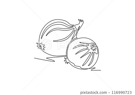 Continuous one line drawing two whole healthy freshness organic bulb onion for harvesting logo identity. Fresh common onion concept vegetable icon. Single line draw design vector graphic illustration 116990723